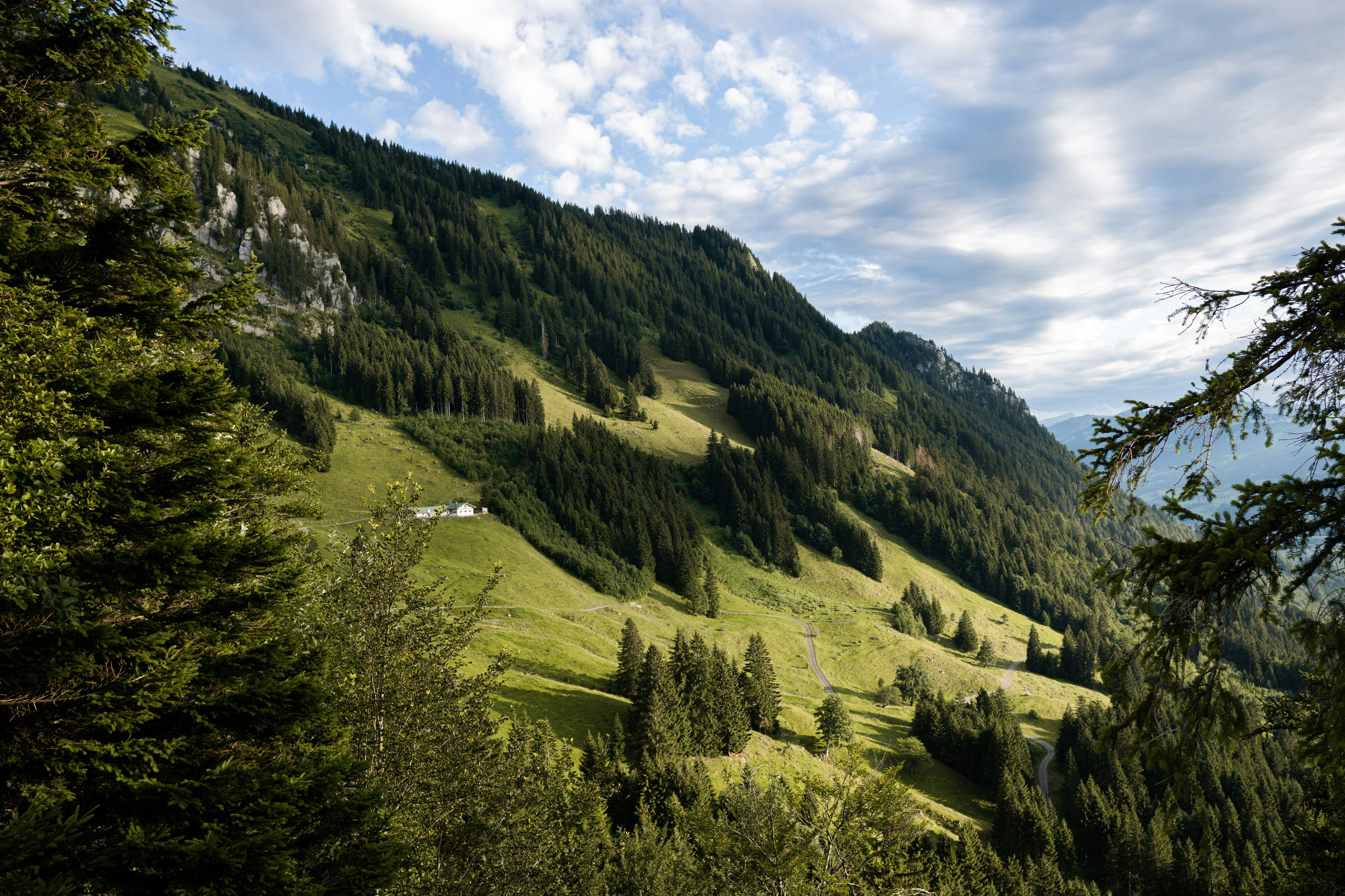 green trees on mountain under cloudy sky during daytime